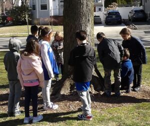 Students taking Nature Pictures