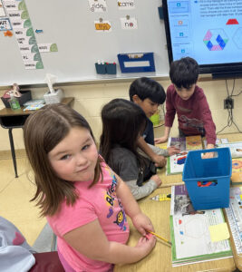 Students doing project