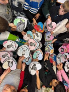 The whole class's projects